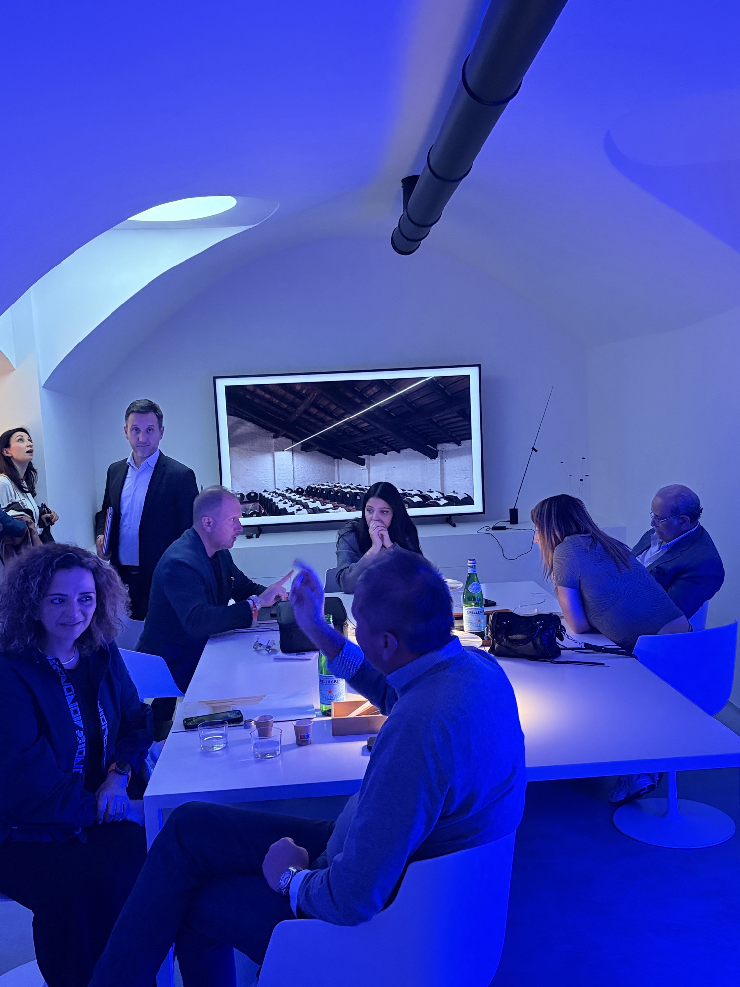 Meeting in a vaulted room lit in blue