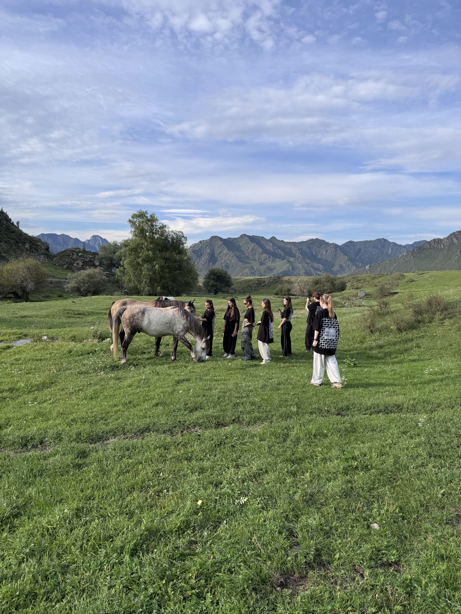 The team in black standing by a grey horse in a mountain meadow