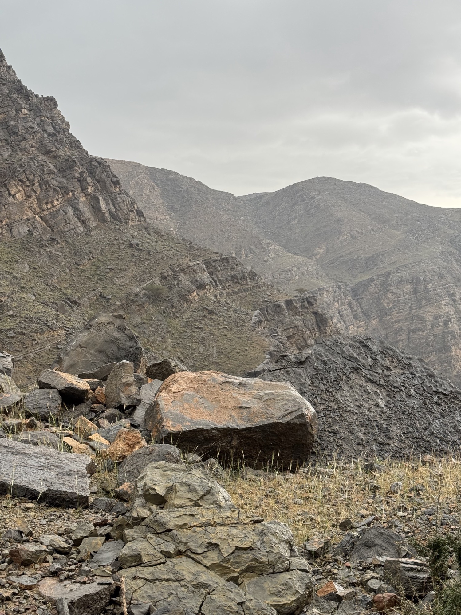 Boulders on a mountain slope under an overcast sky