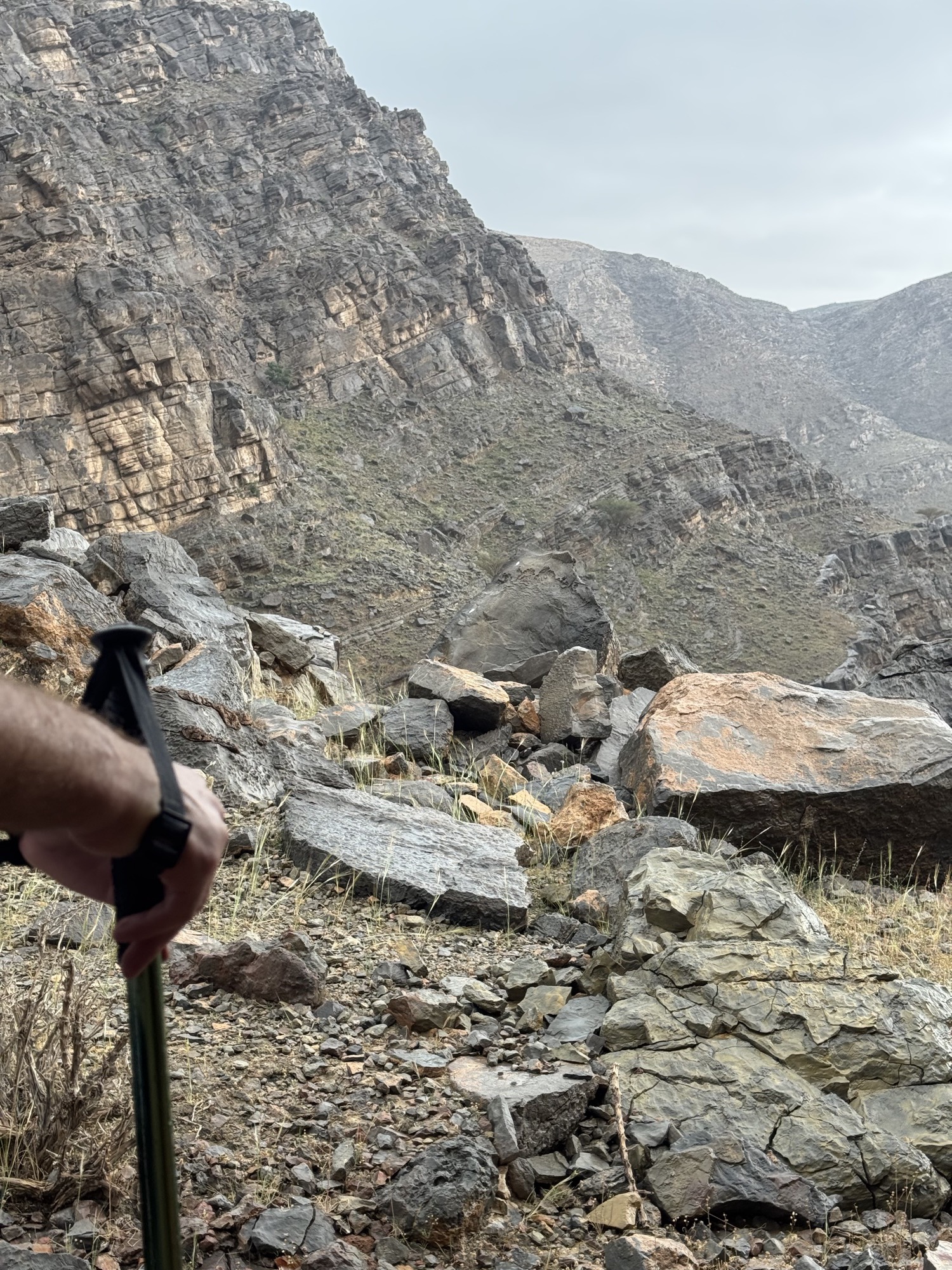Rocky valley seen past a trekking pole