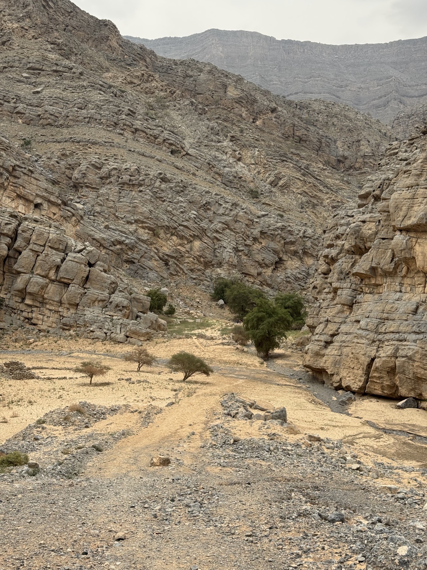 Dry wadi bed with a few trees between cliffs